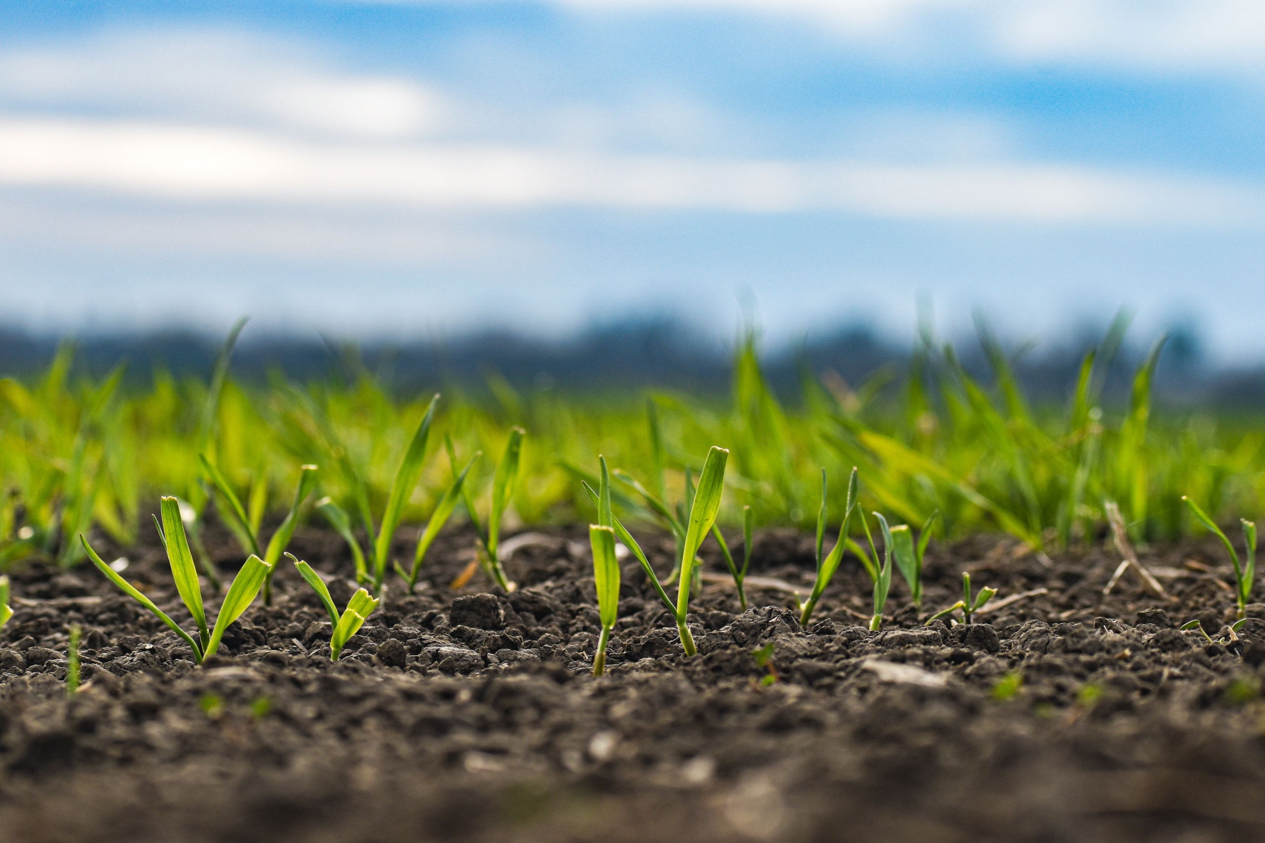 „INVL Baltic Farmland“ pernai uždirbo 2,643 mln. eurų grynojo pelno