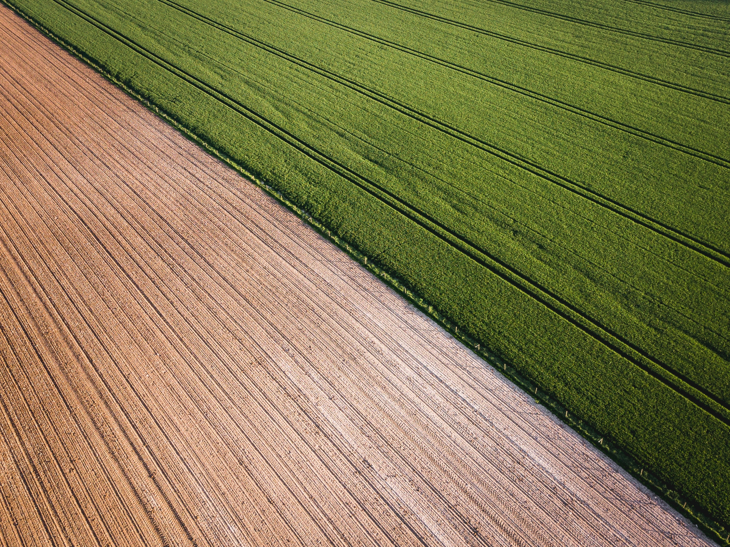 „INVL Baltic Farmland“ akcininkams išmokės 775 tūkst. eurų dividendų