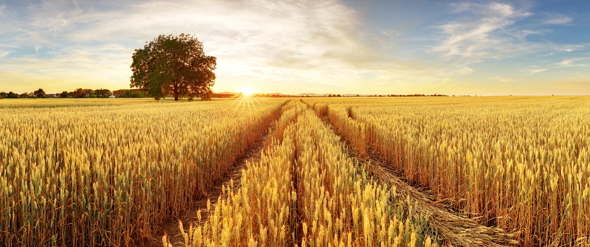„INVL Baltic Farmland“ per devynis mėnesius uždirbo 580 tūkst. eurų grynojo pelno
