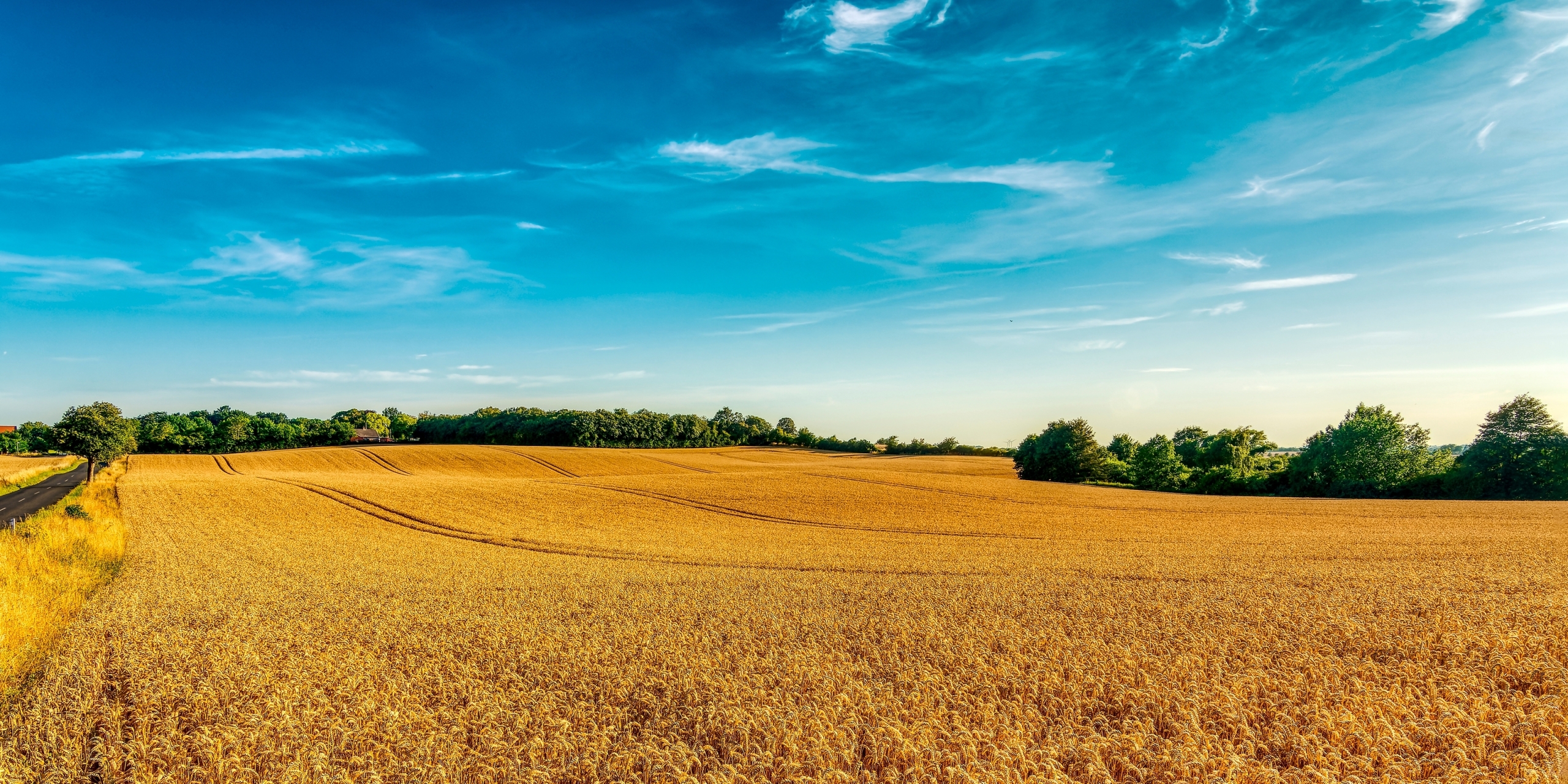 „INVL Baltic Farmland“ pernai uždirbo 1,836 mln. eurų grynojo pelno, pajamos augo 5,2 proc.